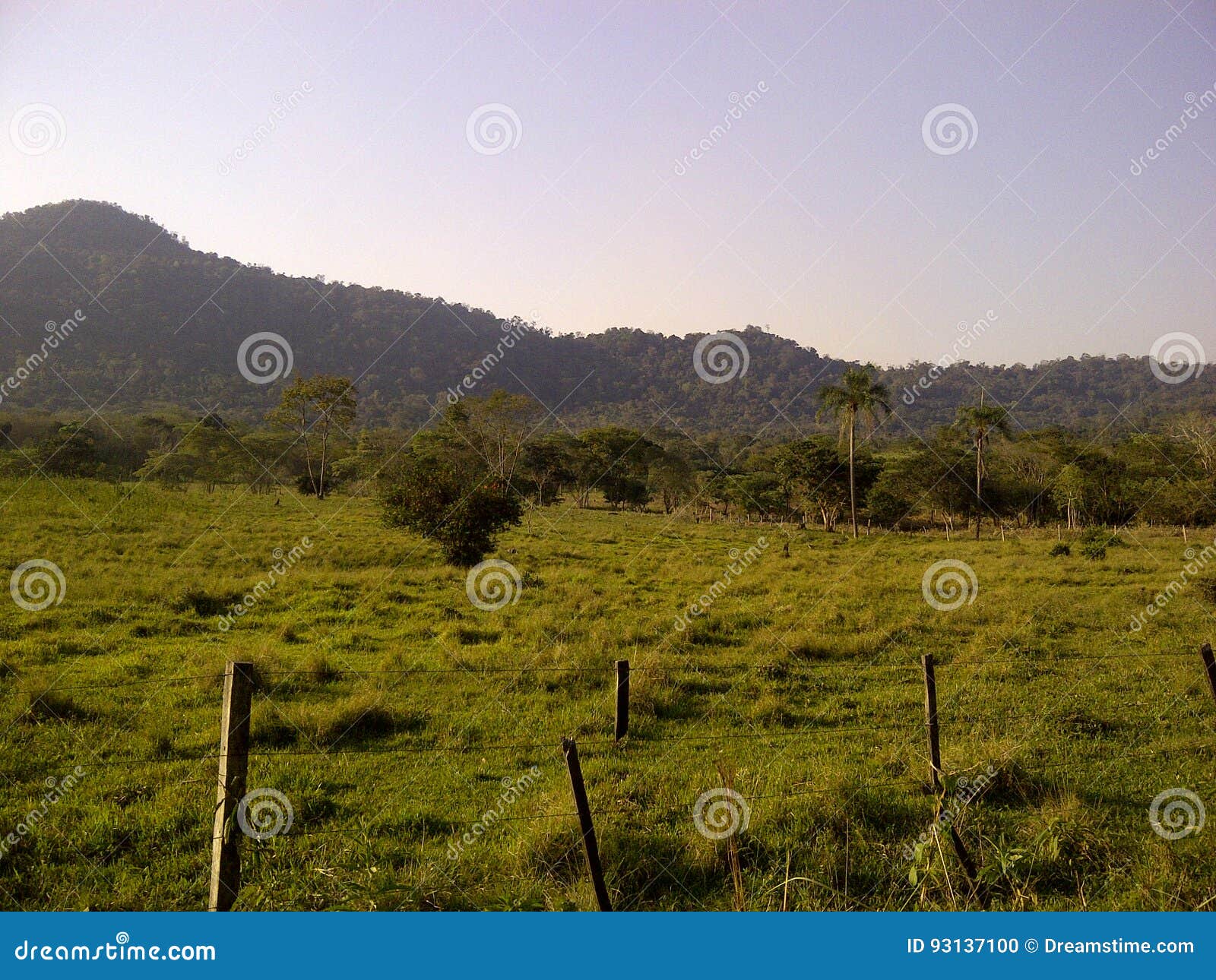 green field with mountains on the horizon, natural and warm environment