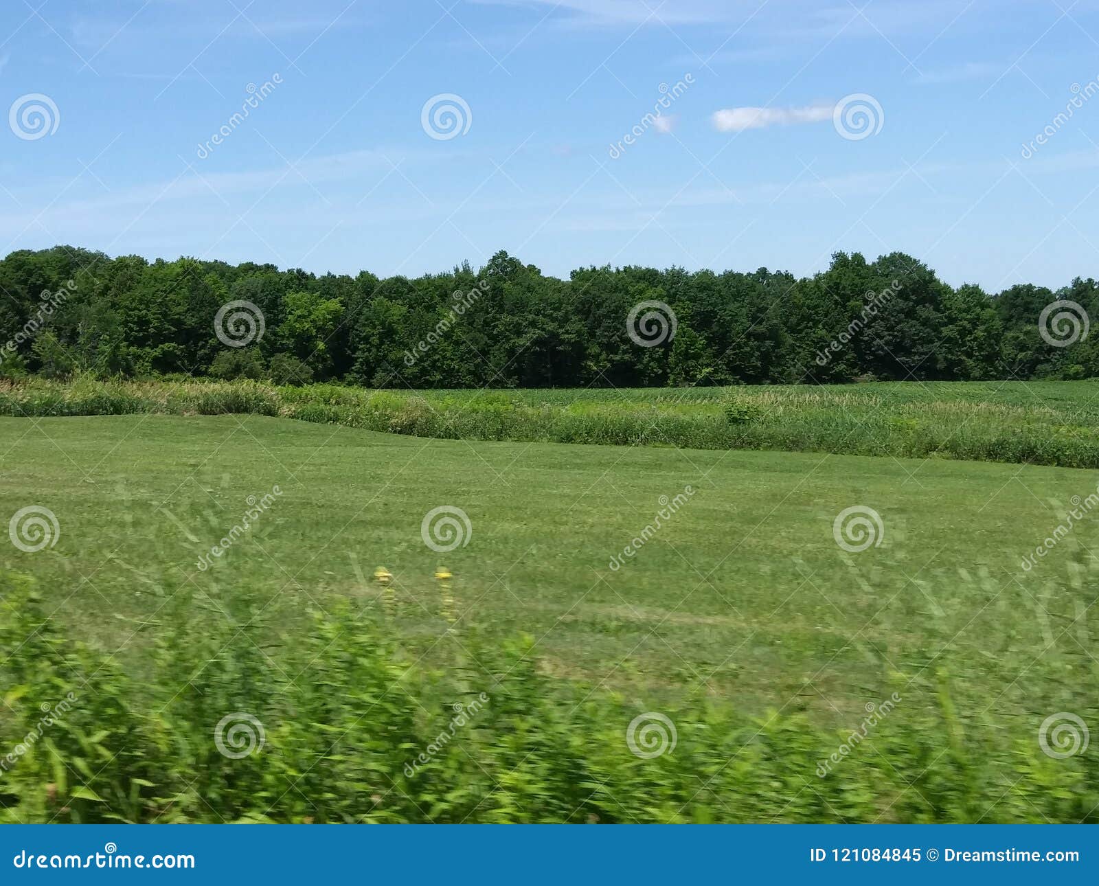 Green Field stock image. Image of field, york, green 121084845