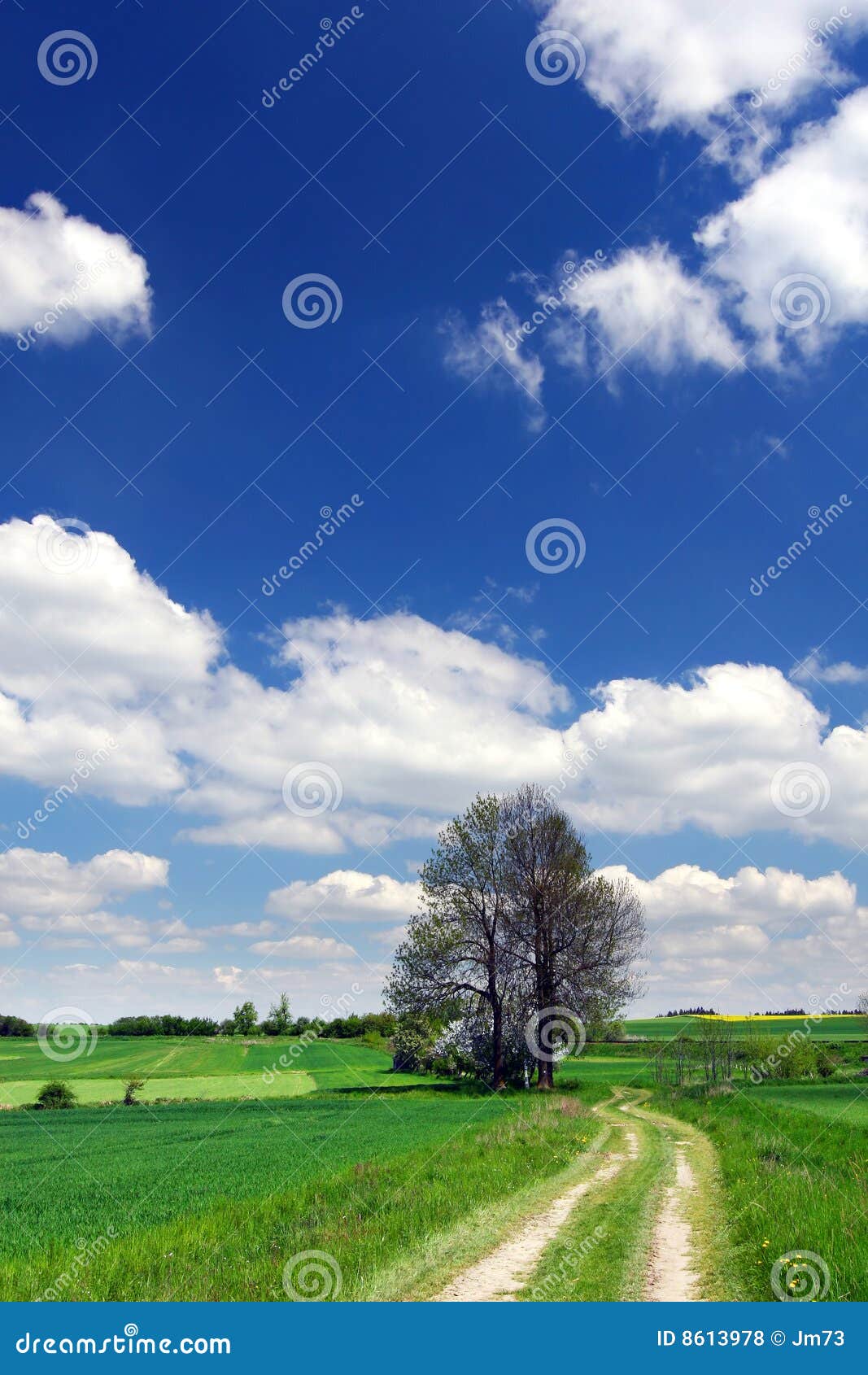 Green Field Road Blue Sky And White Clouds Stock Photo Image Of