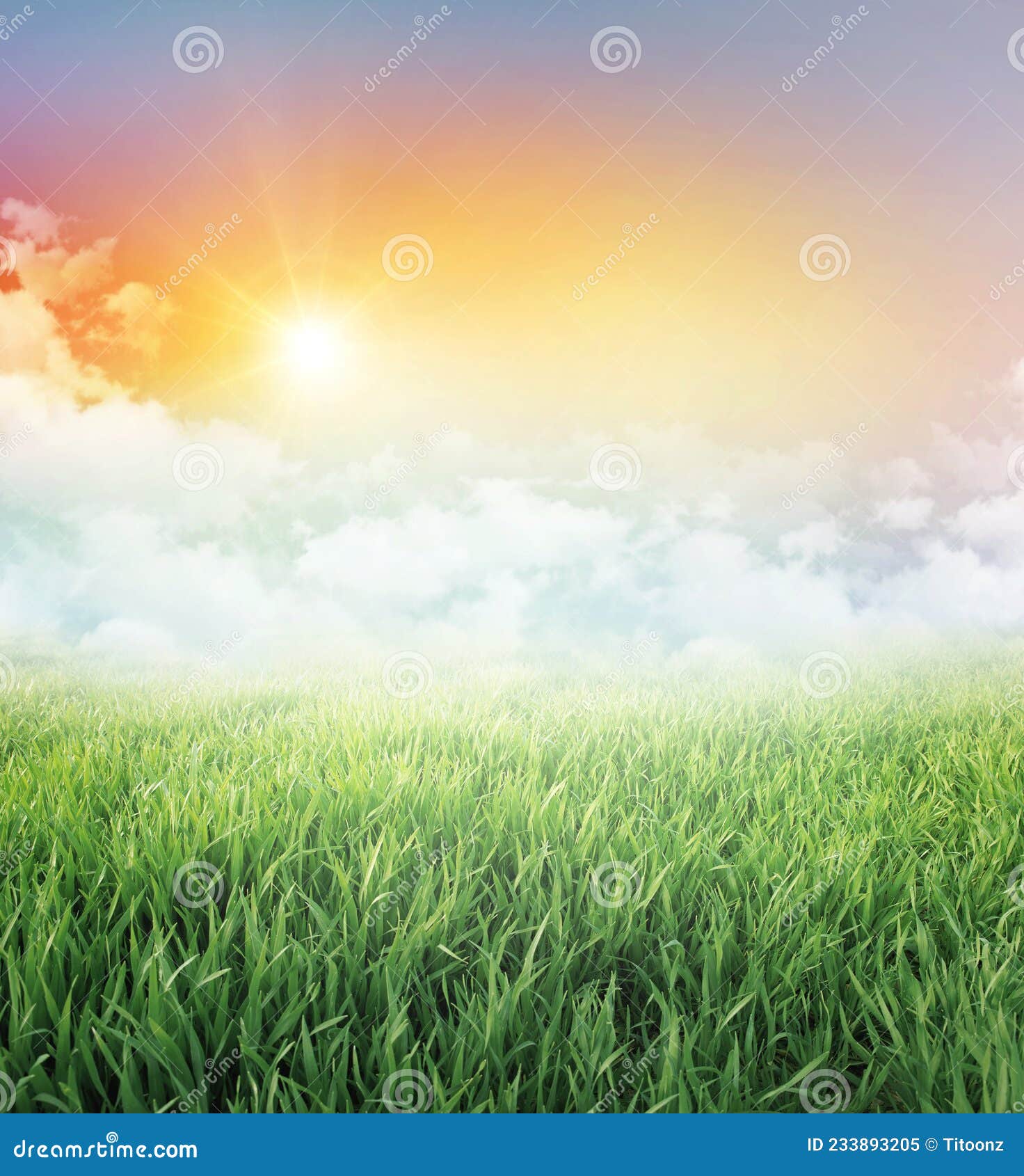 Green Field Under the Rising Sun Stock Image - Image of dusk, growing:  233893205