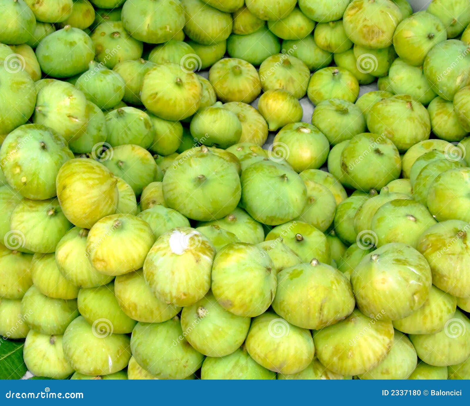 Green figs stock photo. Image of fruit, food, sweet, backgrounds 2337180