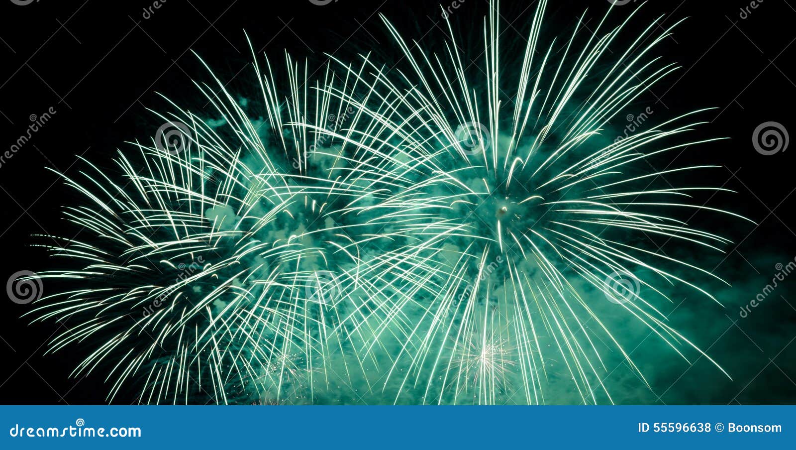 Green Fireworks in the Night Sky Stock Photo Image of black