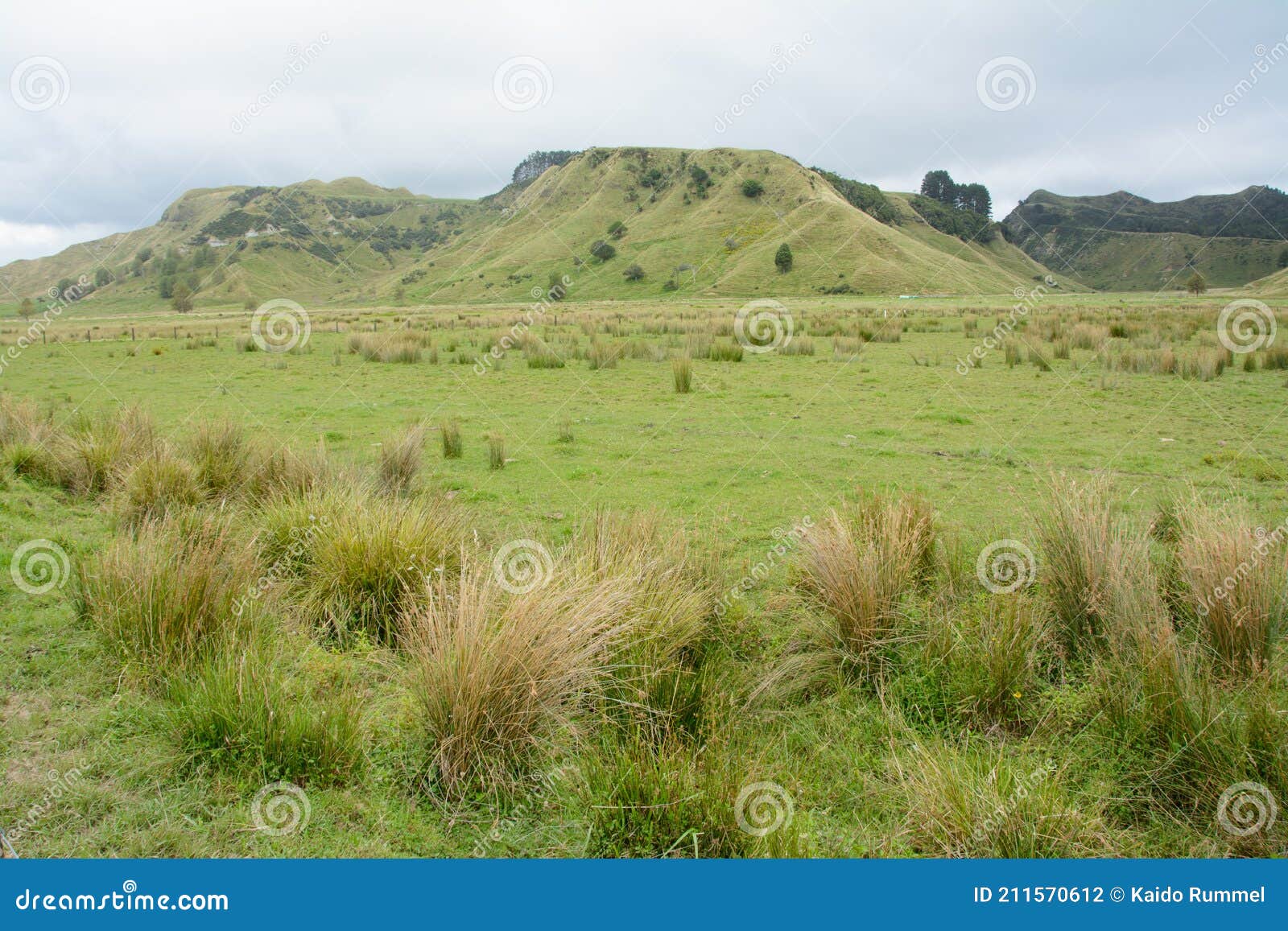 Flat hills stock photo. panoramic - 211570612