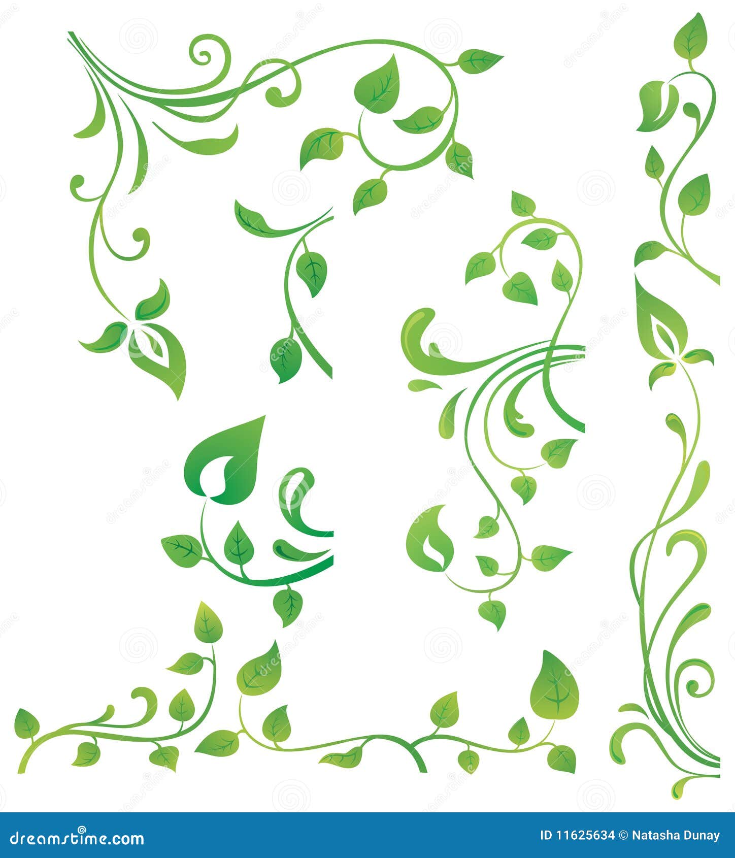 Premium Vector  Ivy corners green vines decorative frame or design elements