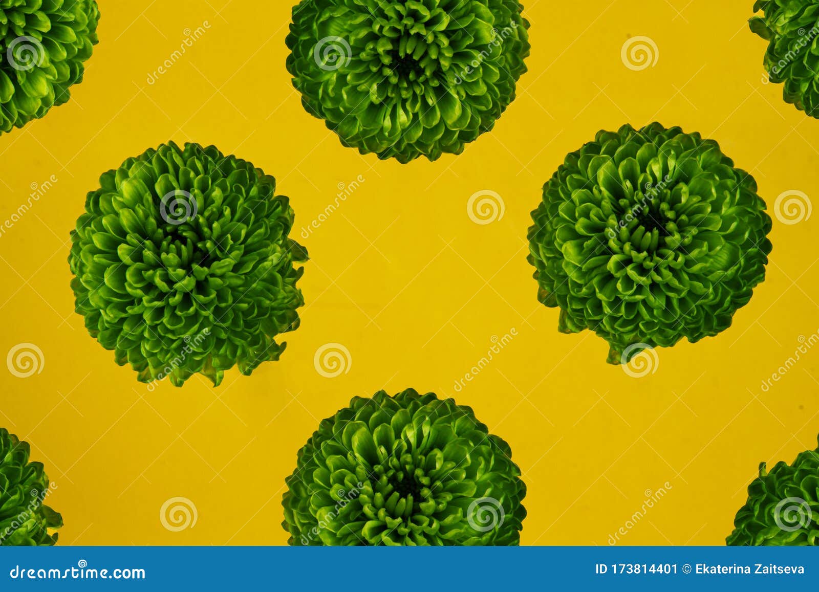 Green Flower Pattern on a Yellow Background. Top View Stock Image Image of color, bright