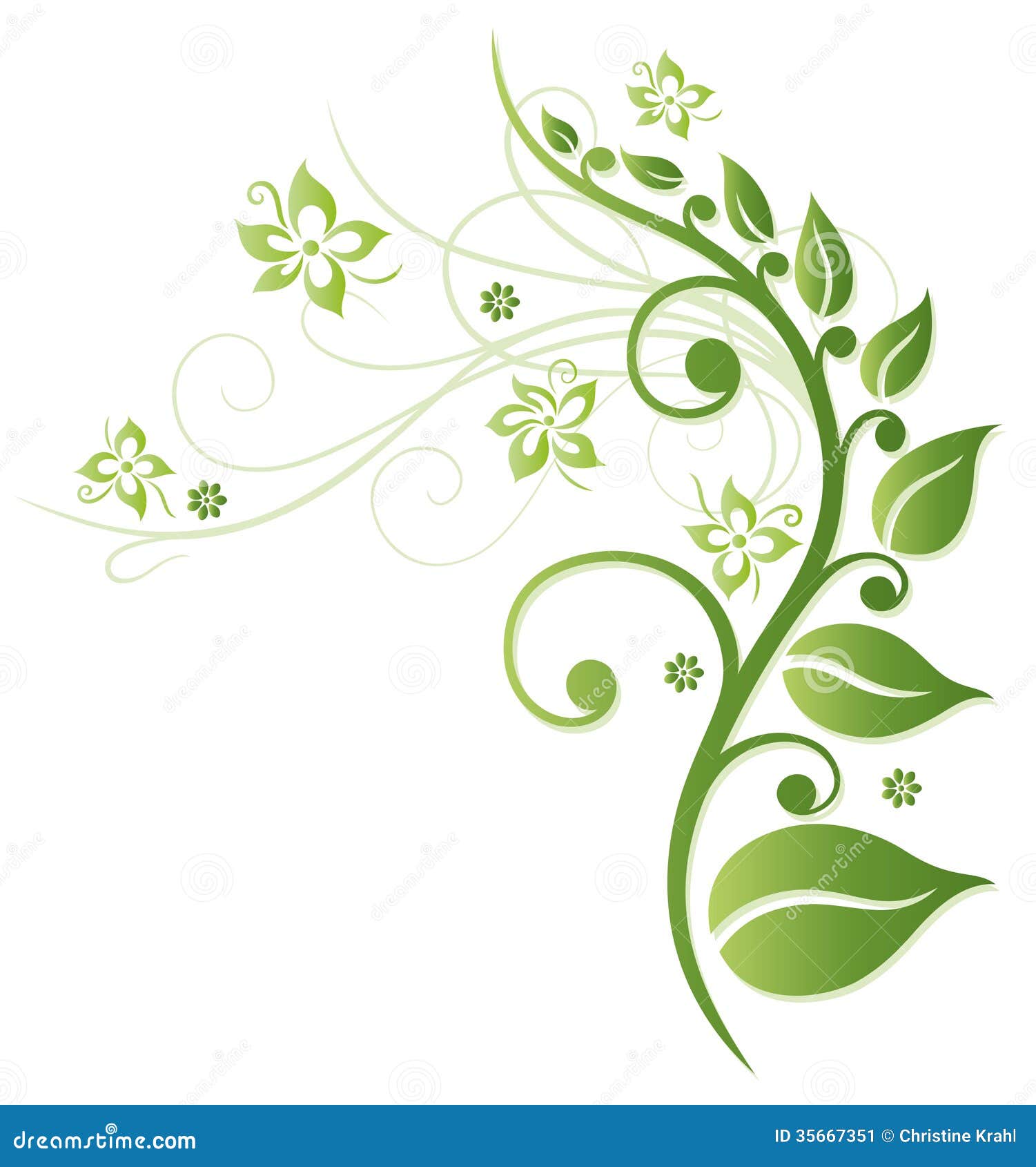 Green Flowers Stock Vector Illustration Of Grasses Graphic 35667351