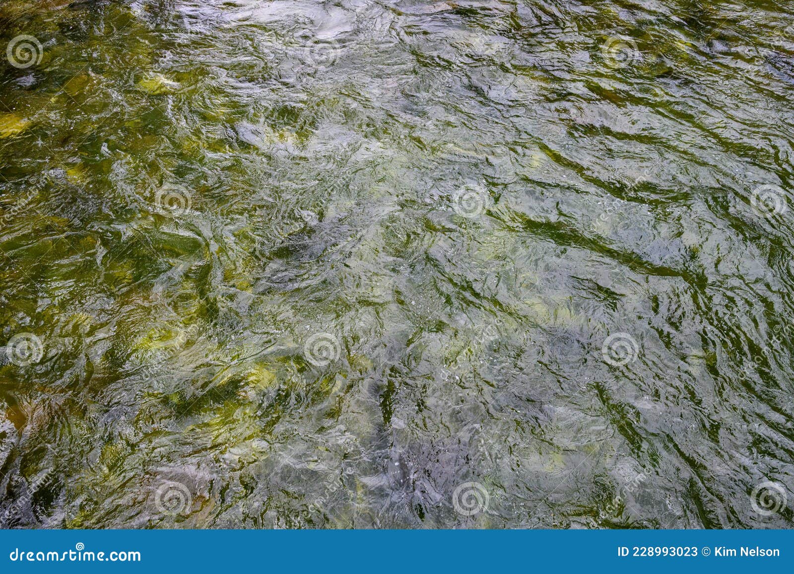 green flowing water of the gallatin river, as a nature background, big sky, montana