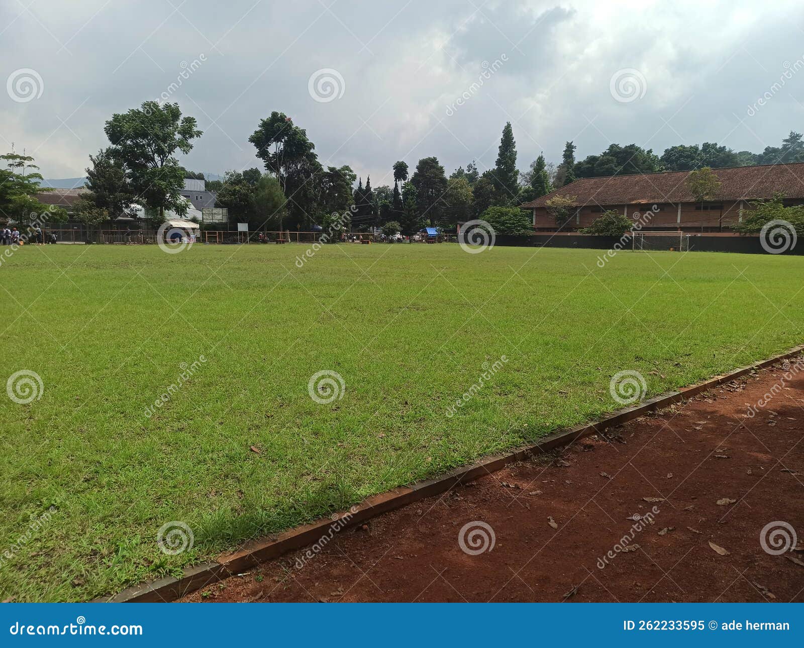 Green football field stock image. Image of garden, grass 262233595