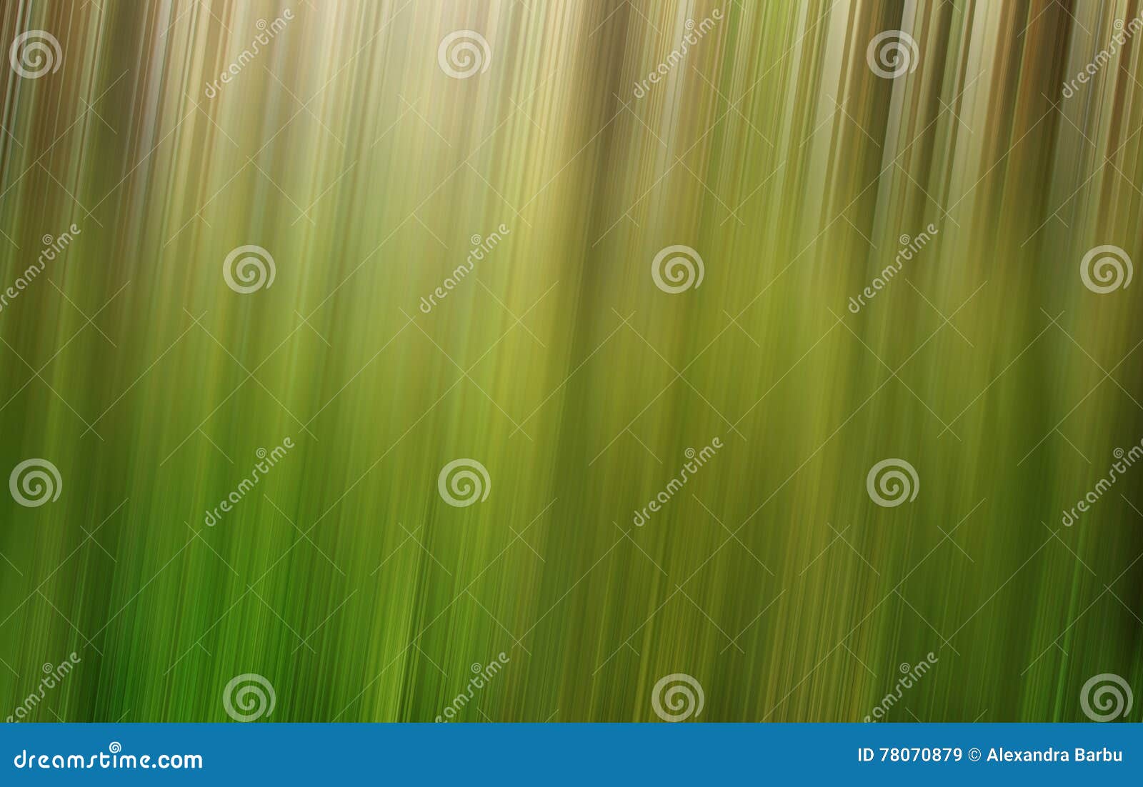 Green Forest Blur Background Stock Image Image of abstract