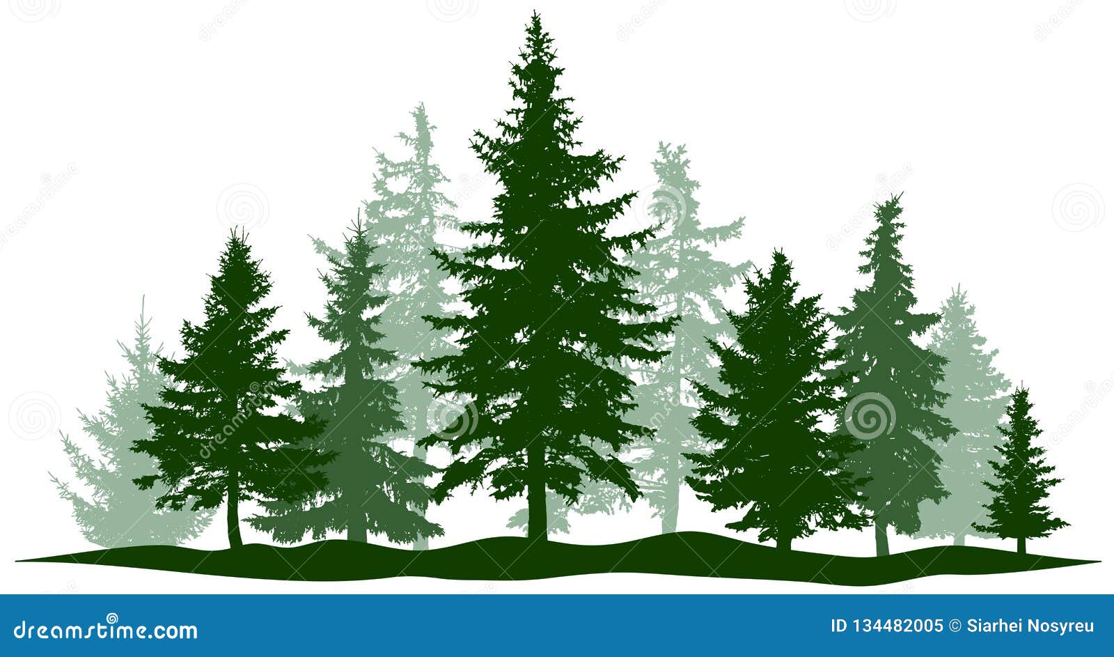 green forest evergreen pine, tree . park christmas tree. individual, separate objects.