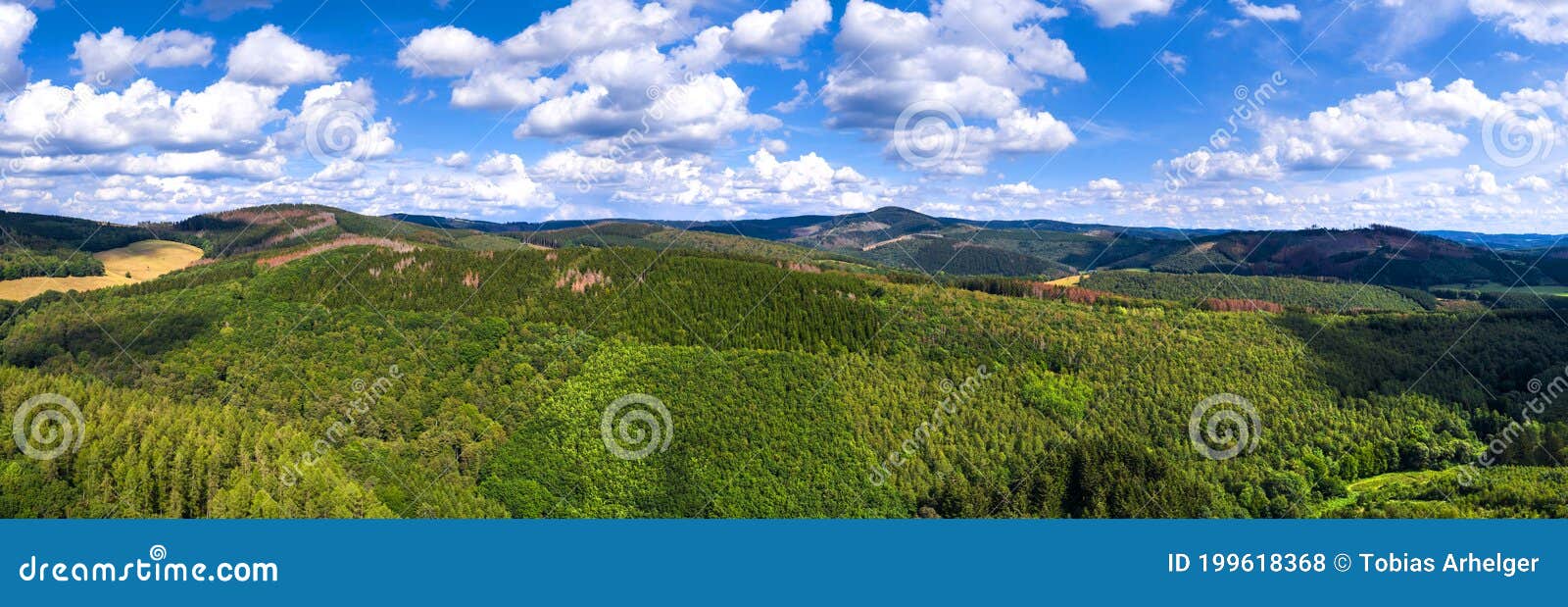 Green Forest Hill Landscape As a High Definition Panorama Stock Photo -  Image of nature, landscape: 199618368