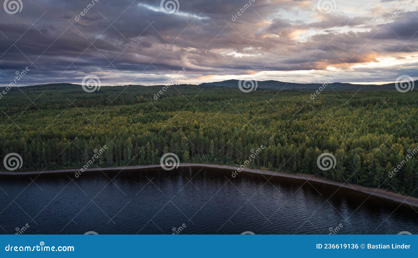 forest and lakeshore at lake siljan from above during sunset in dalarna, sweden