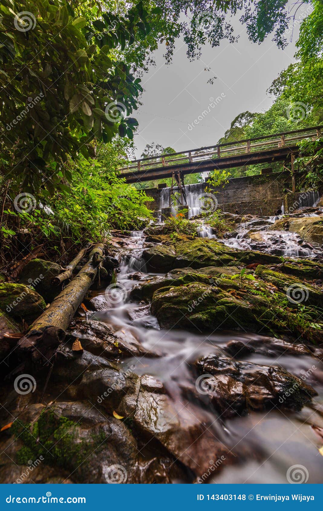 green forest with mini waterfall t at batam bintan indonesia