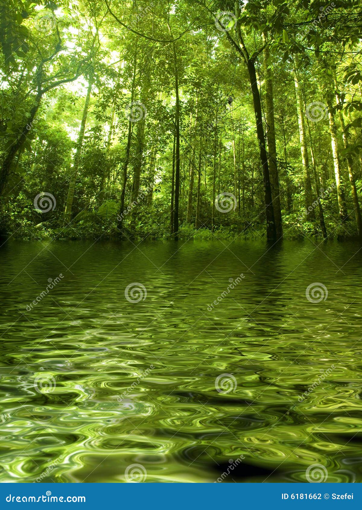 Green forest by river stock photo. Image of dream, forest 6181662