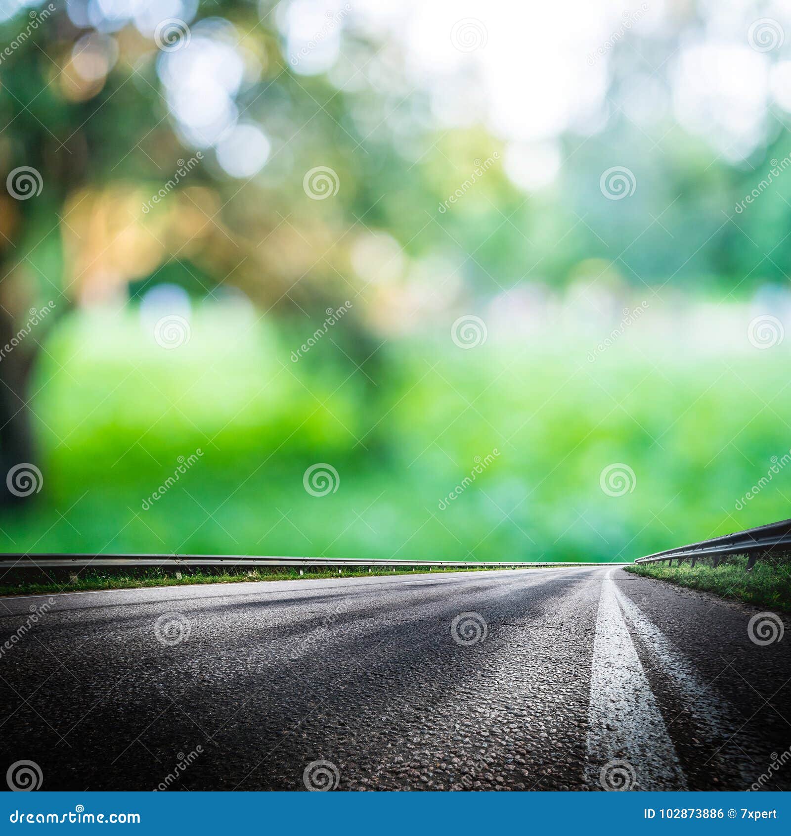 Green Forest Road Background Stock Photo - Image of place, morning:  102873886