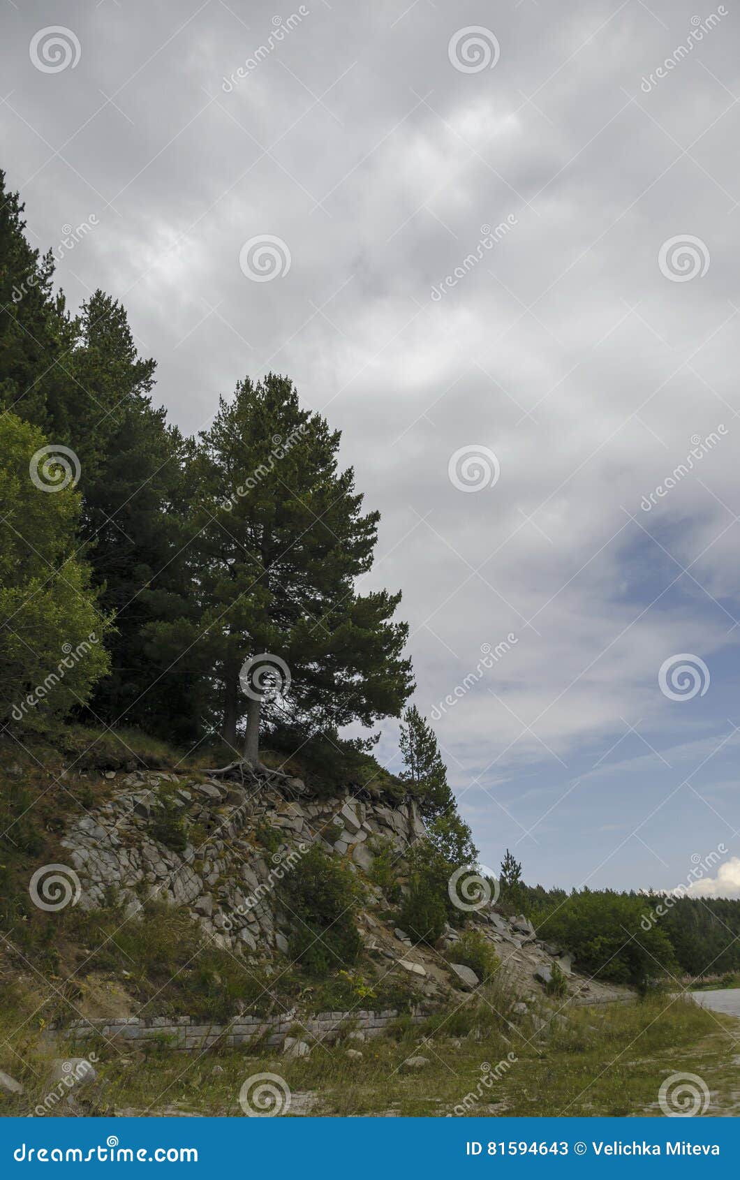 green forest on rocky hill and road near by hija or rest-house aleko