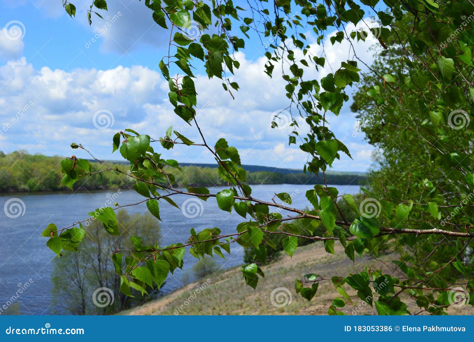 Lake Water Landscape Sky Nature Forest River Reflection Tree