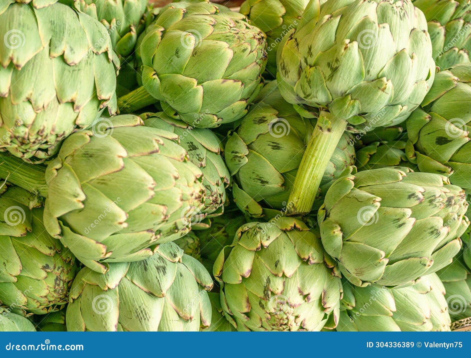 green french artichoke flowers buds on the farm market stall