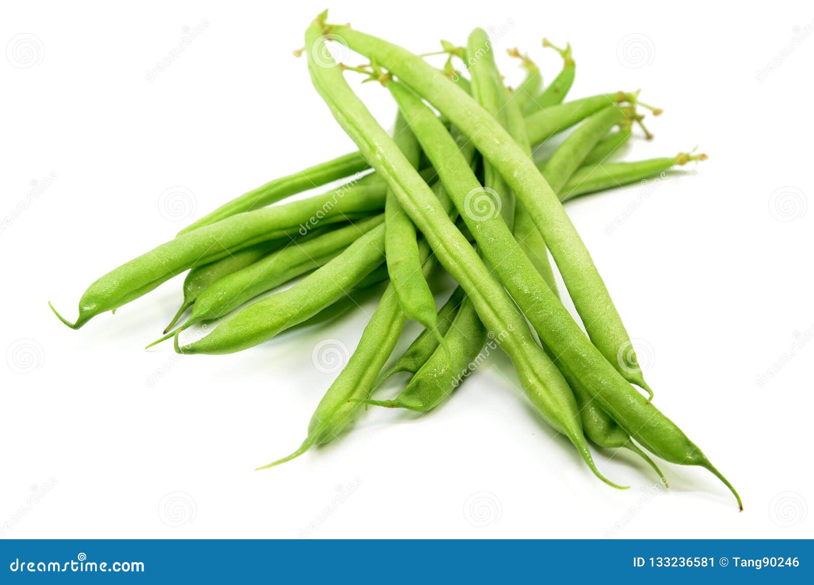 Green French Beans Isolated Stock Image Image of culinary, closeup
