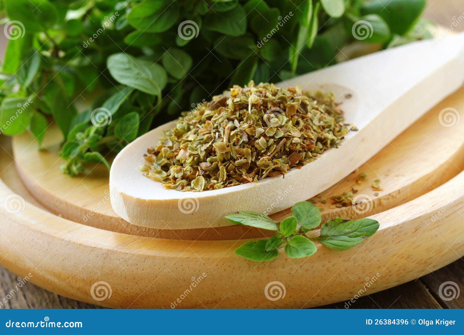 Green Fresh and Dry Oregano Stock Photo Image of spice, food 26384396