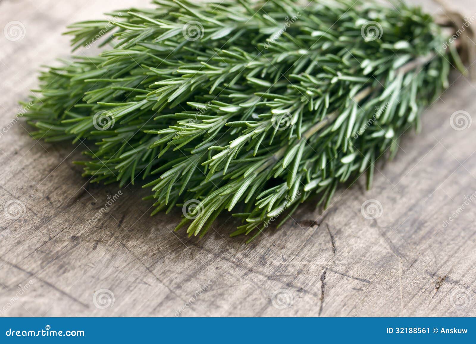 Green fresh rosemary herbs stock image. Image of wooden 32188561
