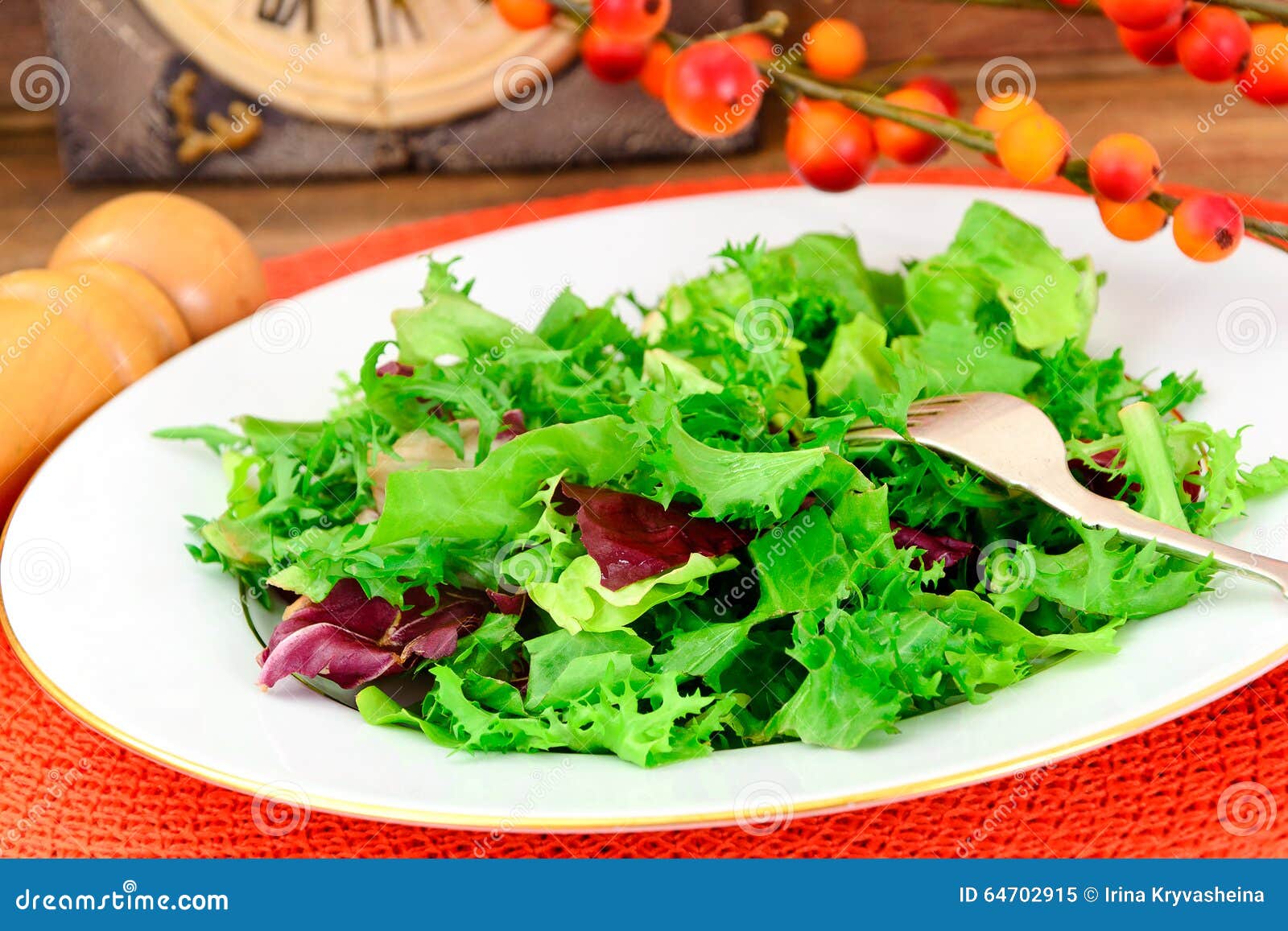 Green Fresh Salad on Plate stock image. Image of meal 64702915