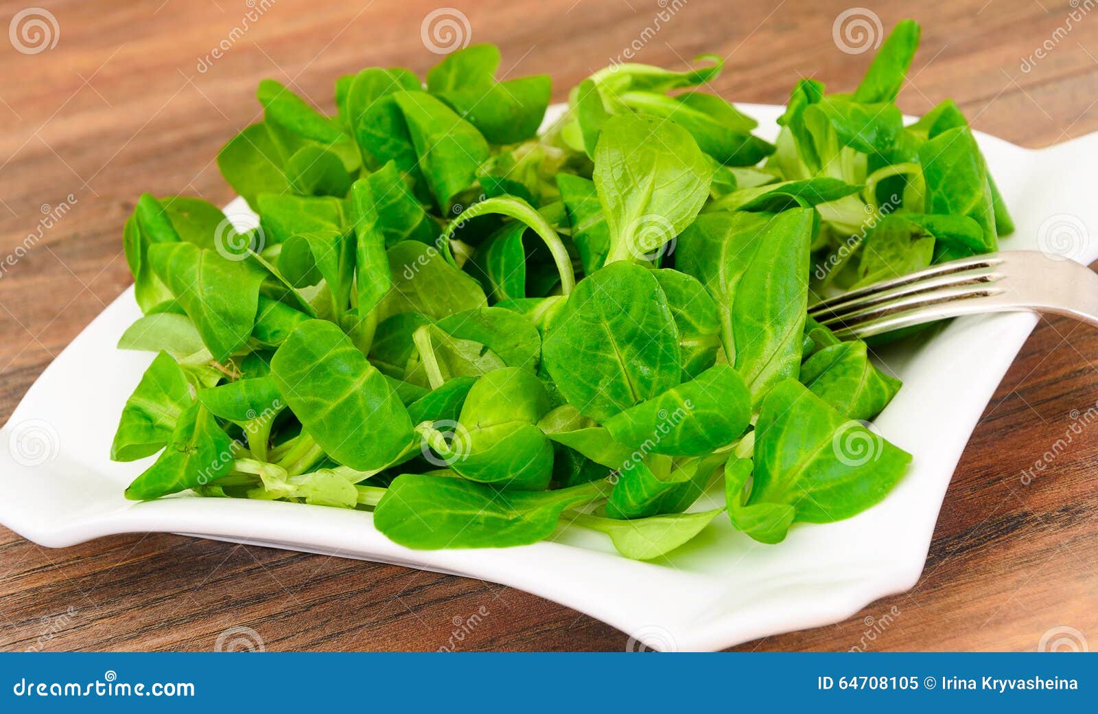 Green Fresh Salad on Plate stock image. Image of greens 64708105