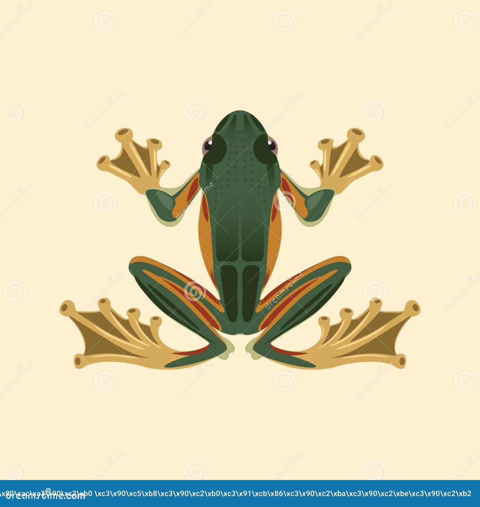 Green frog with ocher paws stock vector. Illustration of ocher 248179621