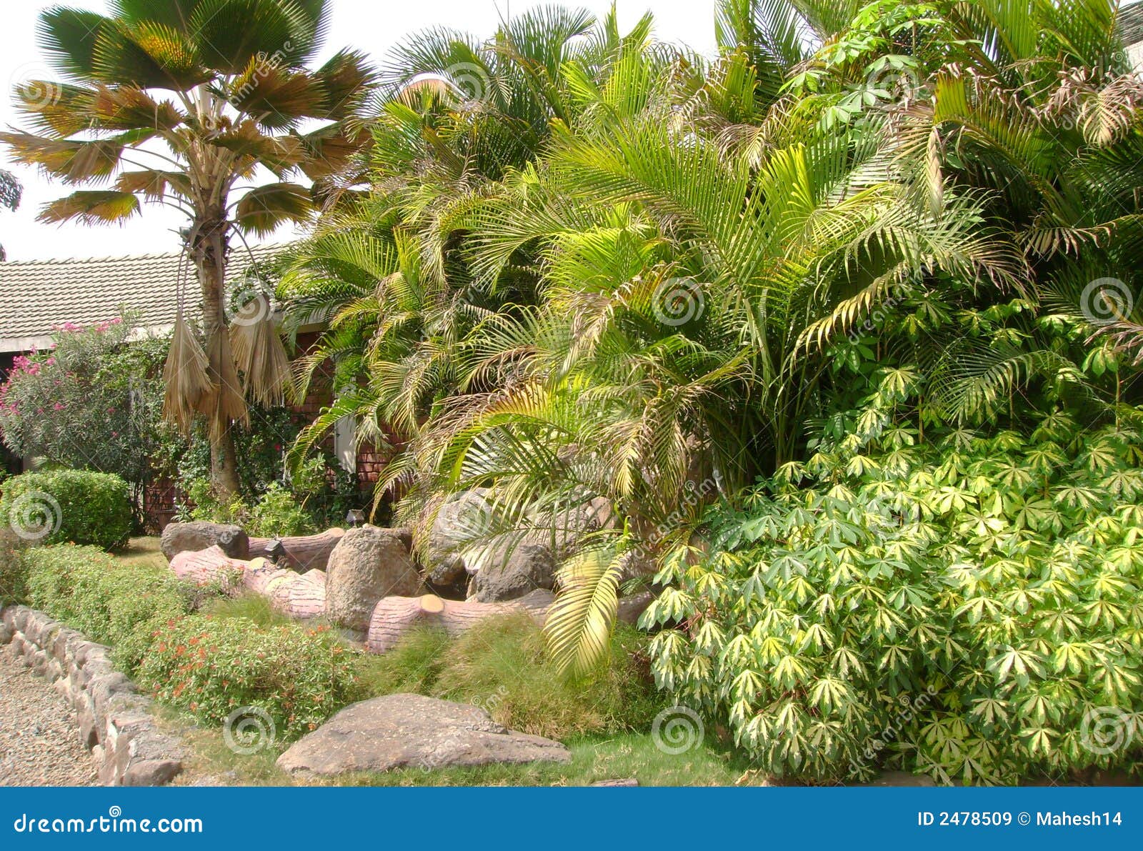 Green Garden stock image. Image of botanical, fresh, park - 2478509