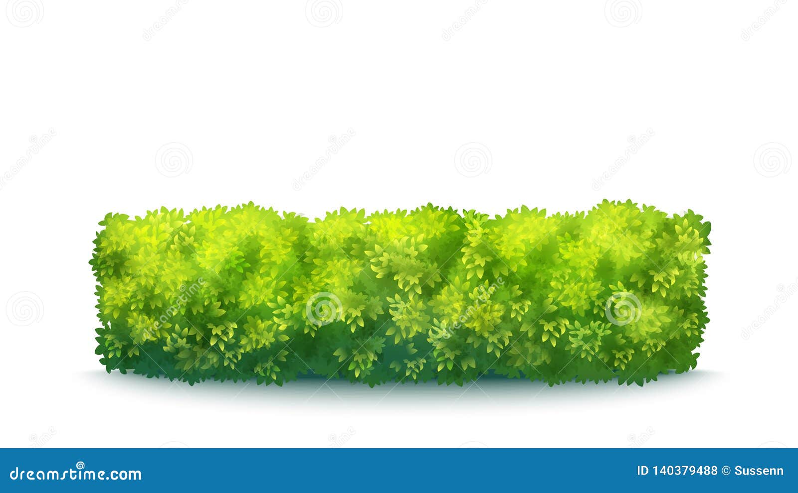 Green Garden Hedge Vector Illustration | CartoonDealer.com #140379488