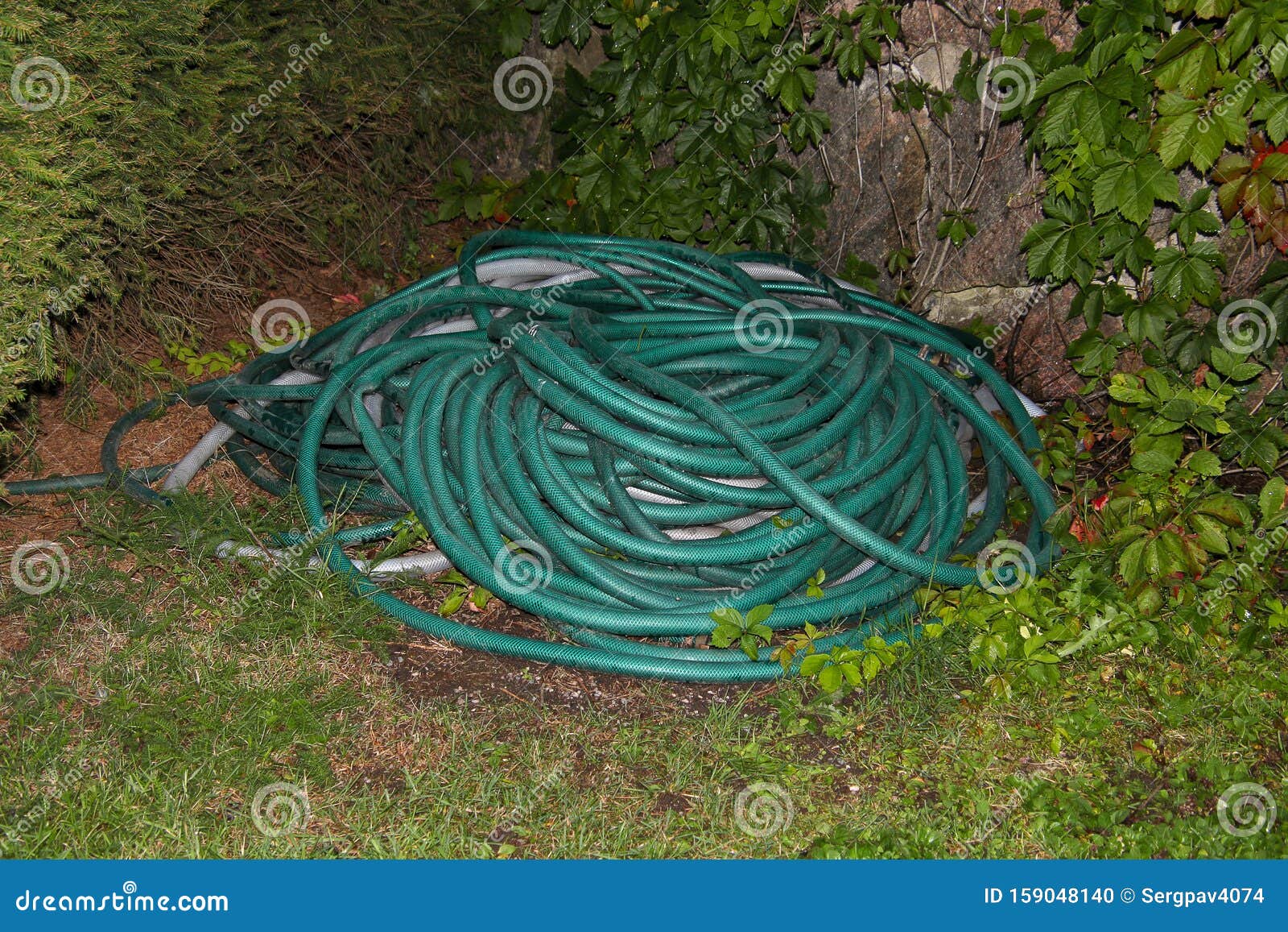 Green Garden Hose Lying on the Ground Stock Photo Image of beautiful