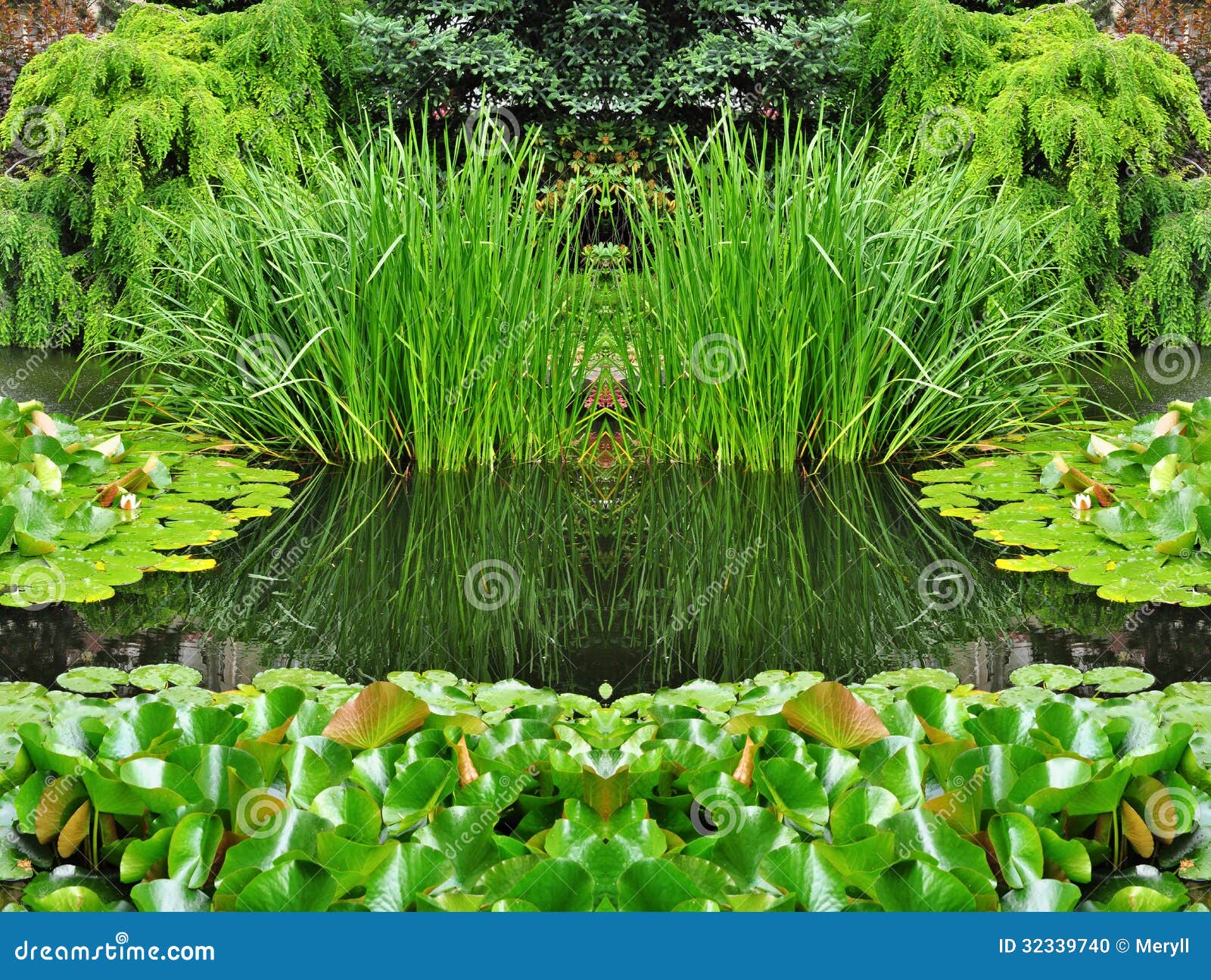 Green garden nature stock photo. Image of pond, tree 32339740