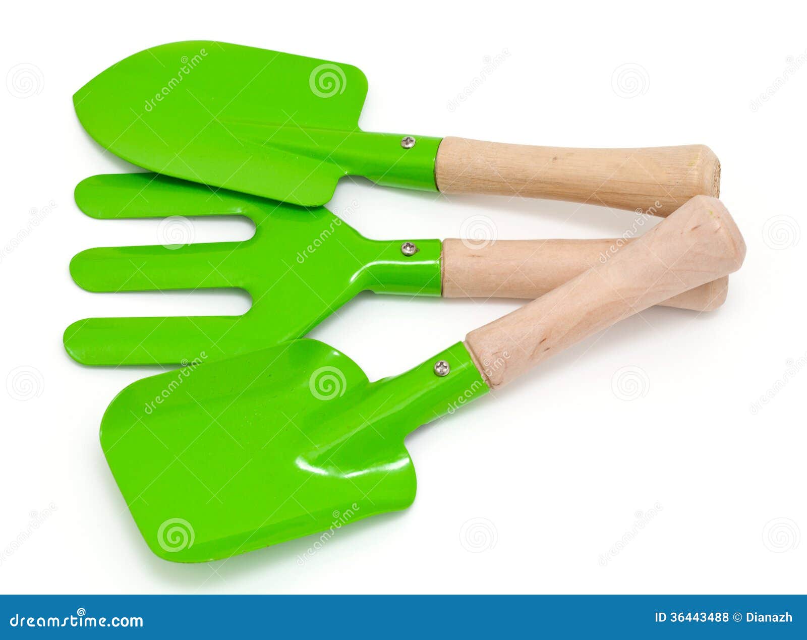 Green gardening tools stock photo. Image of trowel, object 36443488
