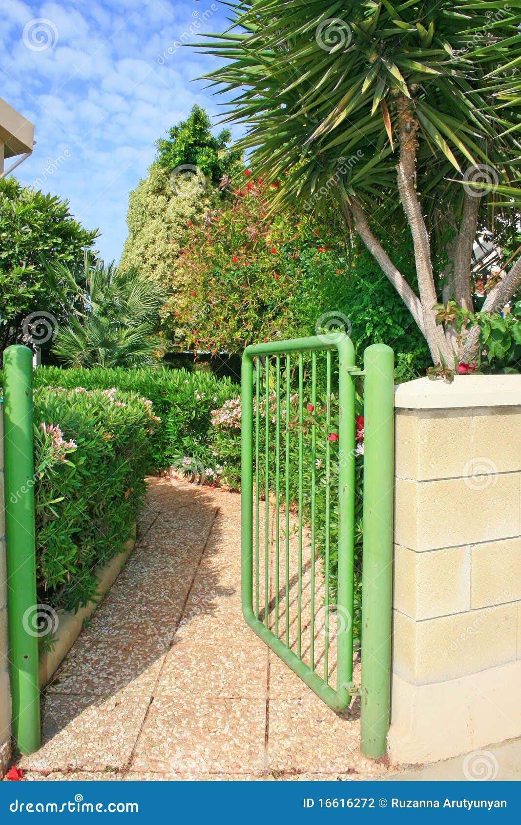 Green gate stock photo. Image of leaves, nature, spring 16616272