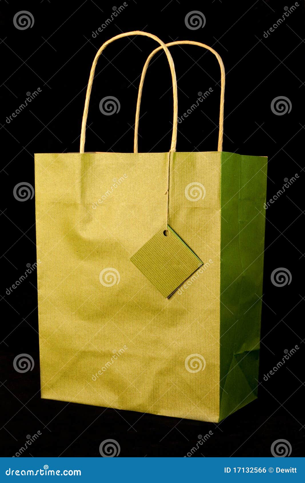 Green gift bag stock photo. Image of green, shopping 17132566
