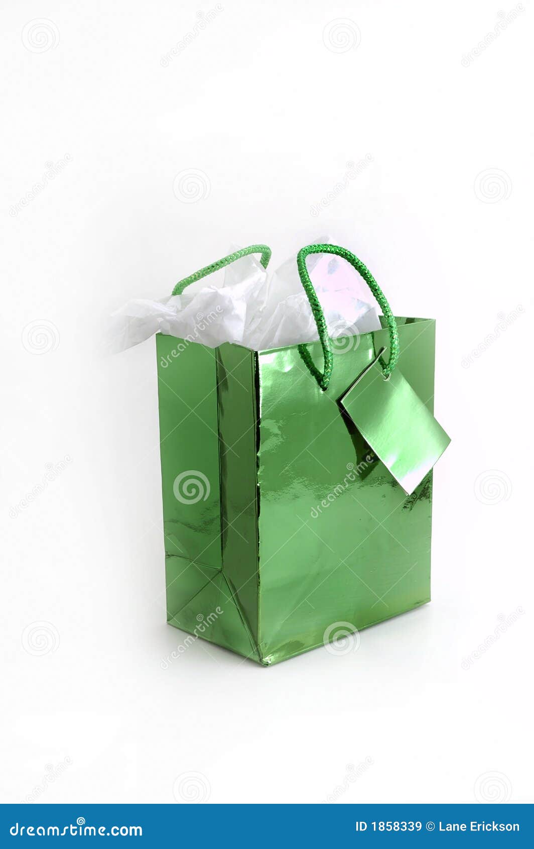 Green Gift Bag stock image. Image of present, gifted, surprise 1858339