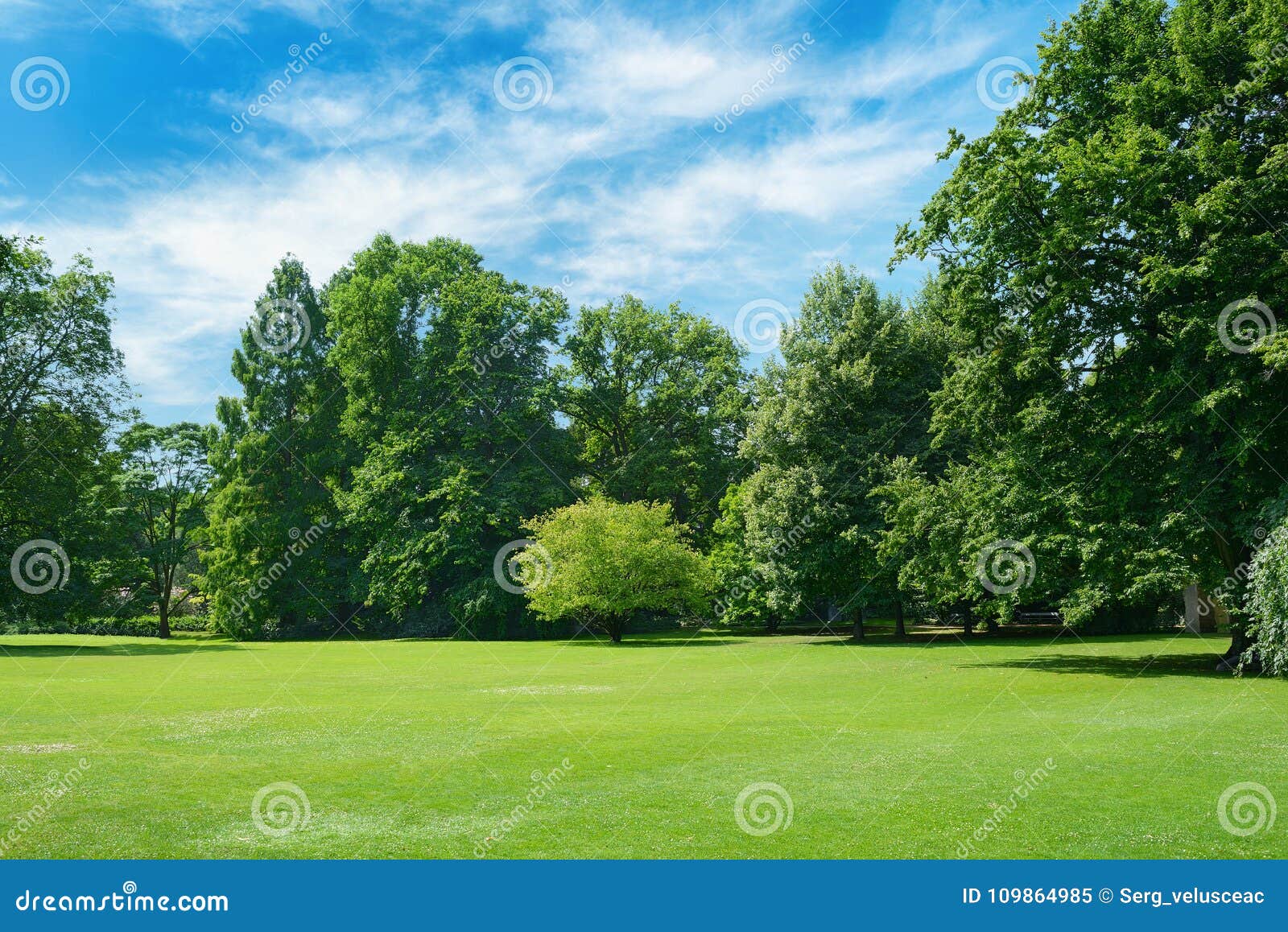 Green Glade Covered with Grass in Park. Stock Image - Image of land ...