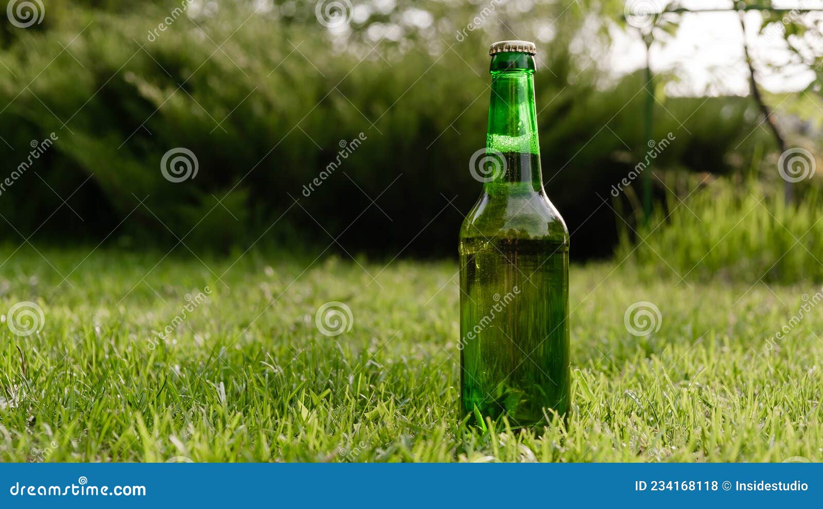 Green Glass Bottle of Beer on the Grass Stock Photo Image of fresh