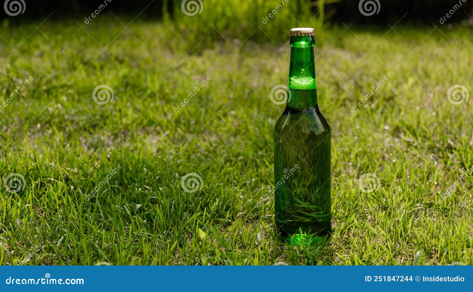 Green Glass Bottle of Beer on the Grass Stock Photo Image of relax
