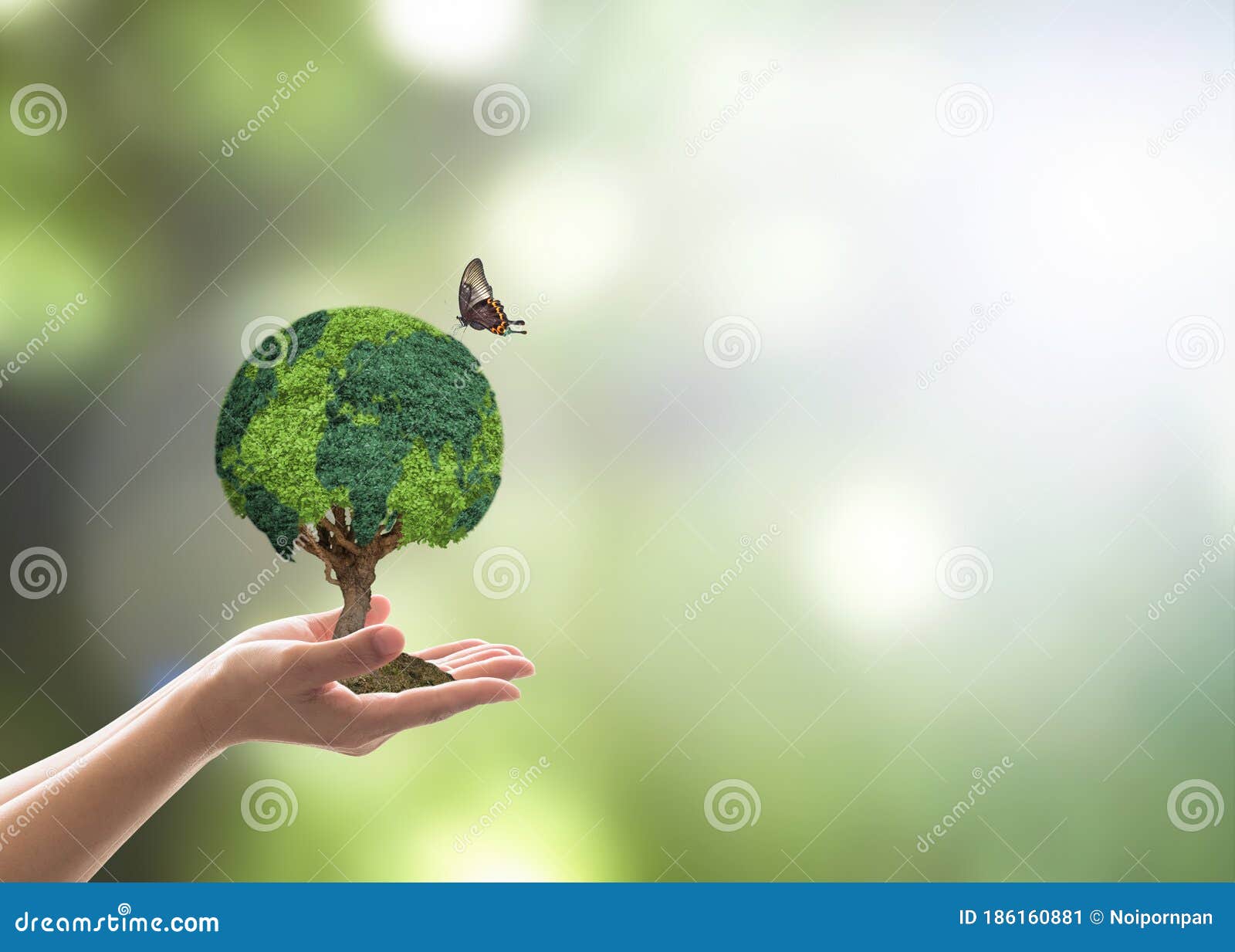 Green Globe Tree on Volunteer`s Hand for Sustainable Environment and ...