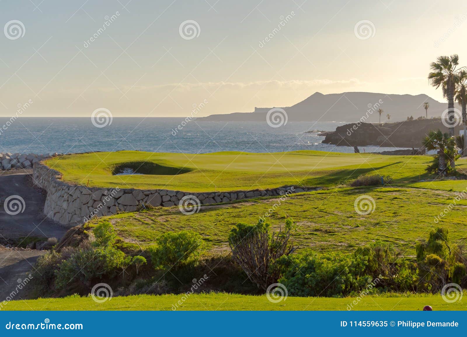 green golf with flag and hole facing atlantico ocean in santa cr