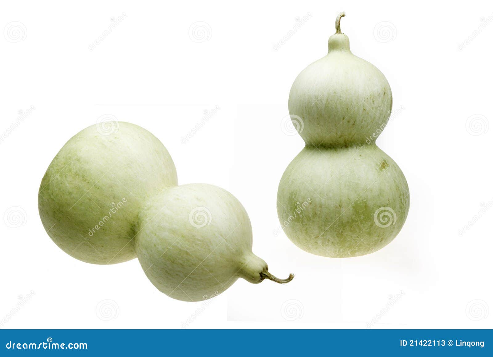 Green gourd stock image. Image of cucurbitaceae, green 21422113