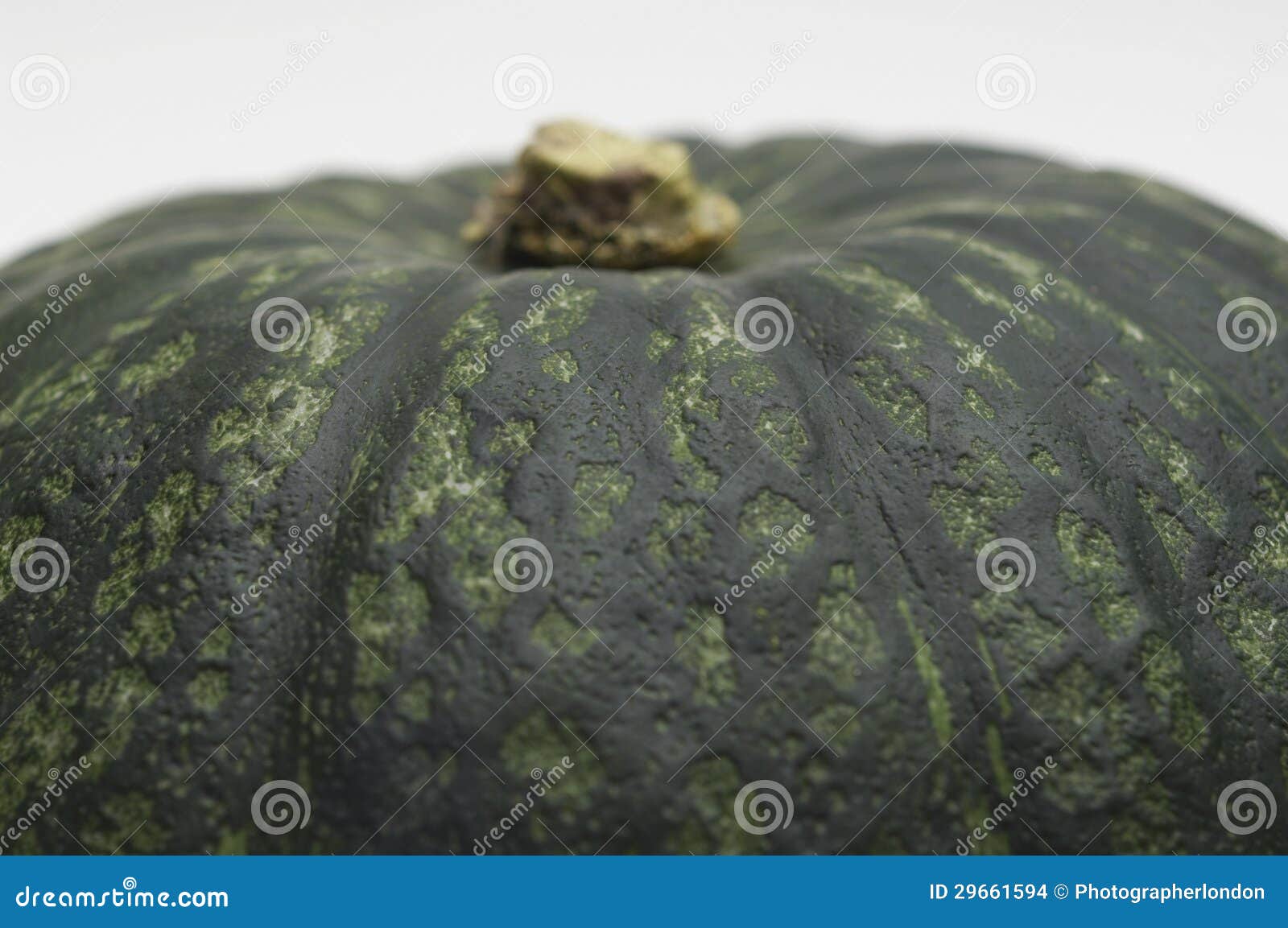 Green Gourd stock photo. Image of rough, food, still 29661594