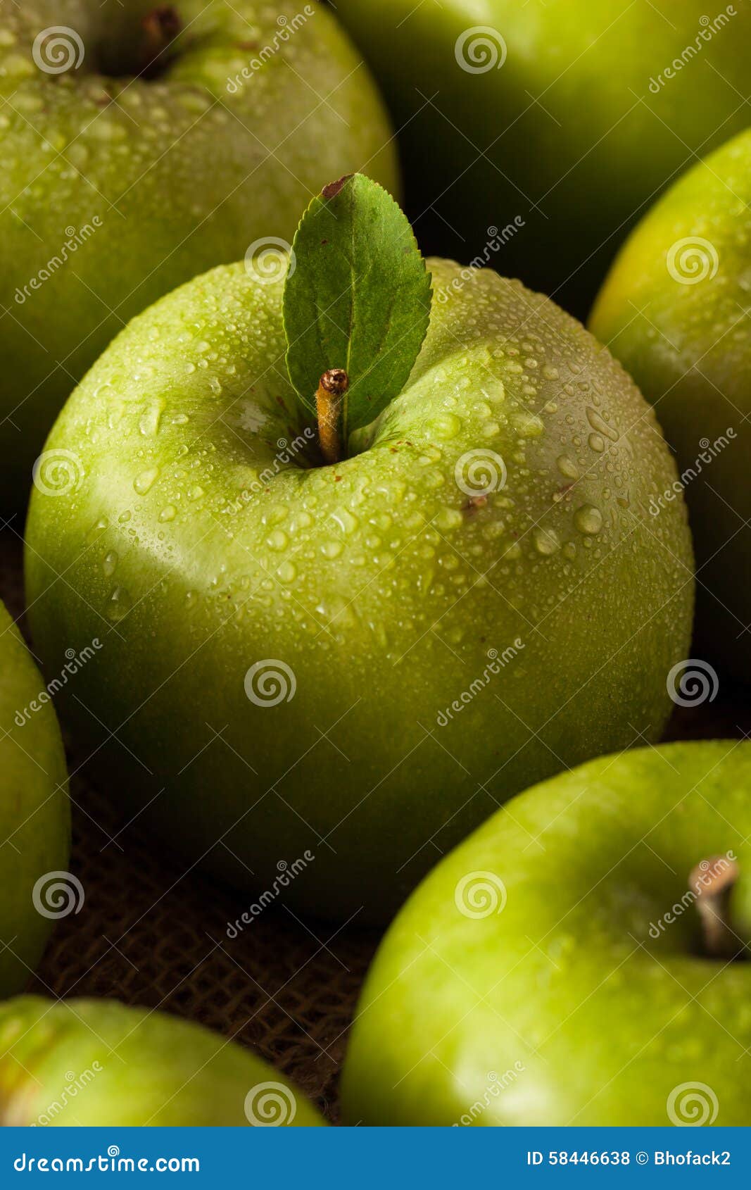 Green Granny Smith Apple stock photo. Image of smith 58446638