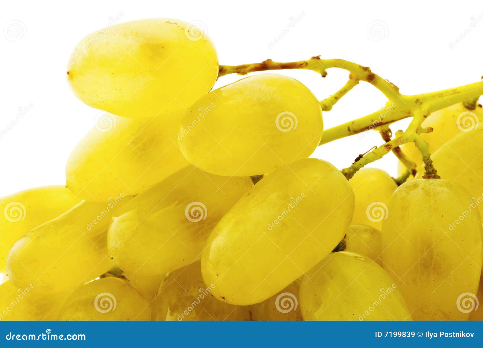 Green grape stock image. Image of isolated, grapes, eating 7199839