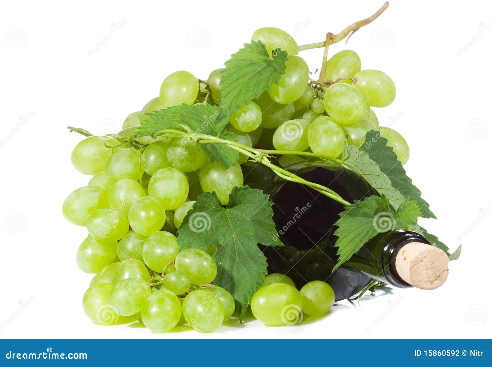 Green Grape with Bottle of Wine Stock Photo Image of vineyard, plant