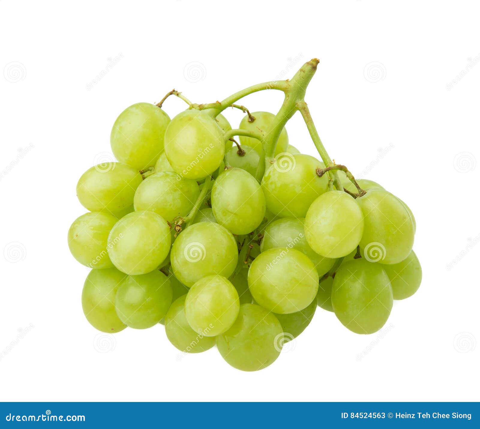 Green grape stock image. Image of fresh, grape, summer 84524563