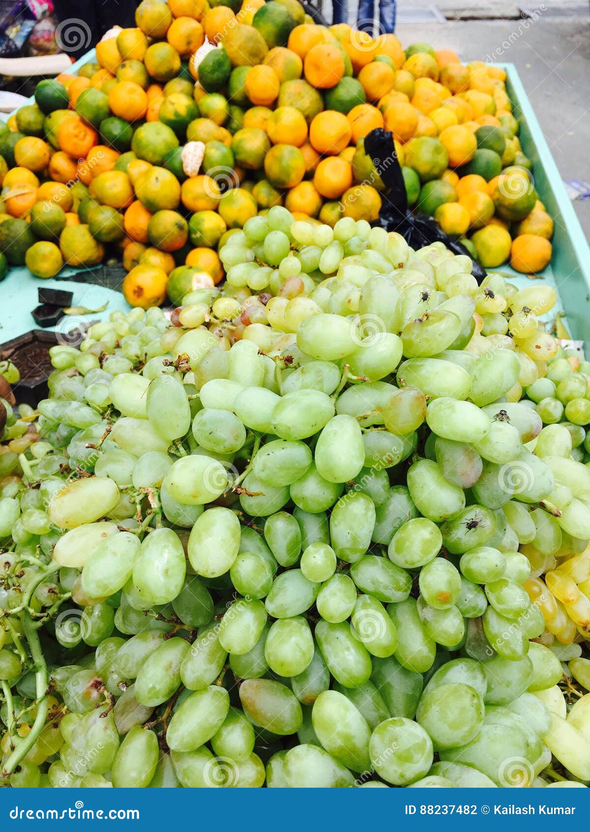 Green grape with Orange stock photo. Image of france 88237482