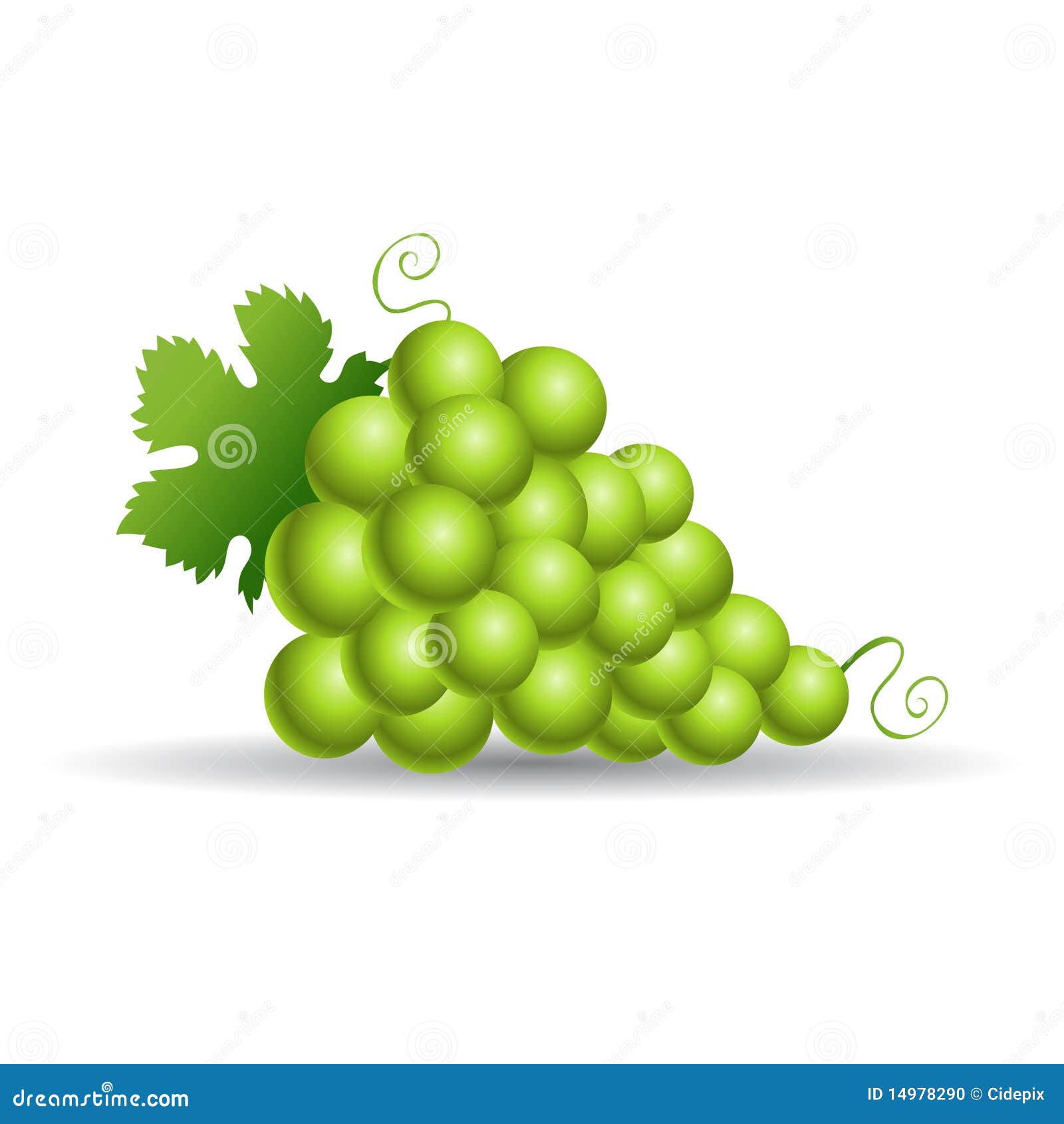 clipart green grapes - photo #32