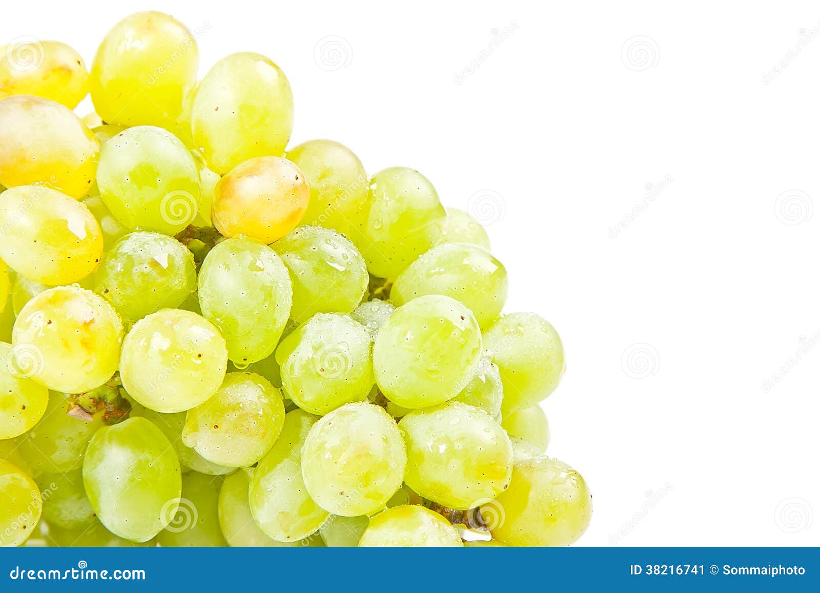 Green grapes stock image. Image of growth, nature, green 38216741
